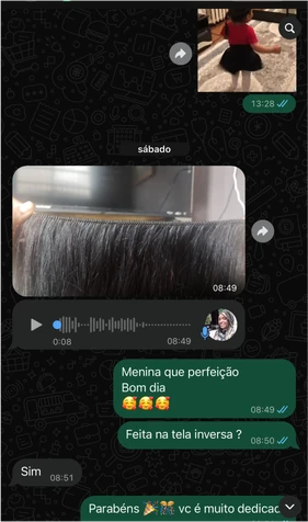 Conversa no WhatsApp: mostra uma tela feita na técnica inversa e a Mayelly elogia a perfeição