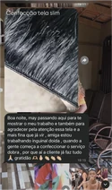 Conversa no WhatsApp: mostra a tela slim que confeccionou e conta que o serviço dobrou depois que começou a confeccionar